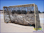 NEW goal posts