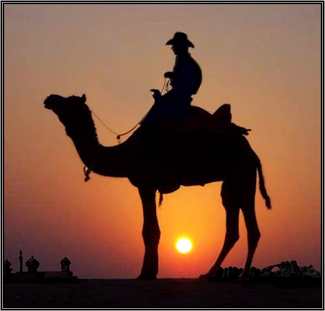 Camel rides $6.75 ... look on mom's face when she sees this picture ... priceless ...