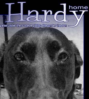 home page